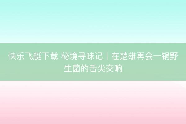 快乐飞艇下载 秘境寻味记｜在楚雄再会一锅野生菌的舌尖交响