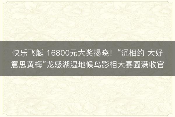 快乐飞艇 16800元大奖揭晓!“沉相约 大好意思黄梅”龙感湖湿地候鸟影相大赛圆满收官