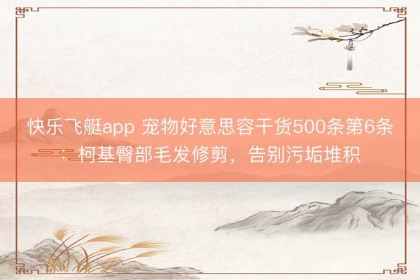 快乐飞艇app 宠物好意思容干货500条第6条：柯基臀部毛发修剪，告别污垢堆积