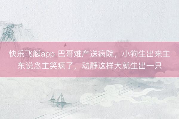 快乐飞艇app 巴哥难产送病院，小狗生出来主东说念主笑疯了，动静这样大就生出一只