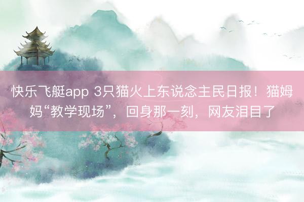 快乐飞艇app 3只猫火上东说念主民日报！猫姆妈“教学现场”，回身那一刻，网友泪目了