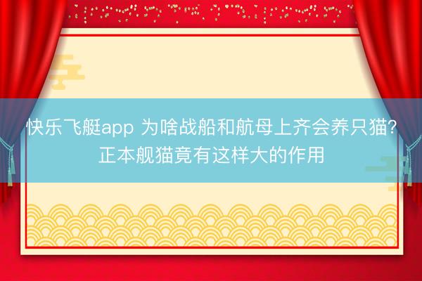快乐飞艇app 为啥战船和航母上齐会养只猫？正本舰猫竟有这样大的作用
