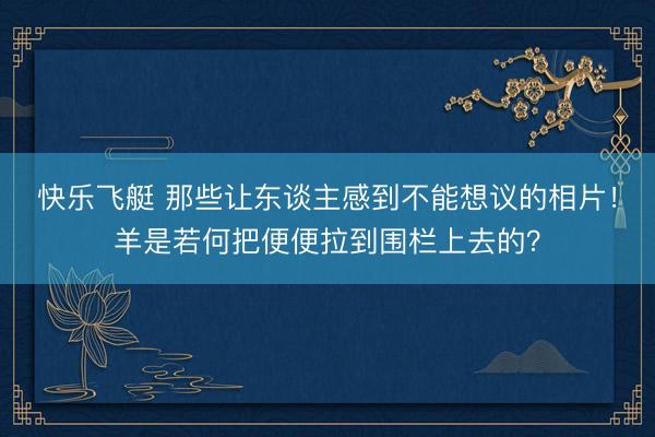 快乐飞艇 那些让东谈主感到不能想议的相片!羊是若何把便便拉到围栏上去的?