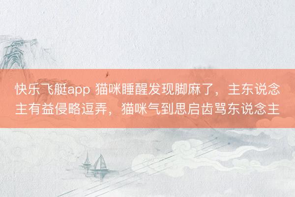 快乐飞艇app 猫咪睡醒发现脚麻了,主东说念主有益侵略逗弄,猫咪气到思启齿骂东说念主