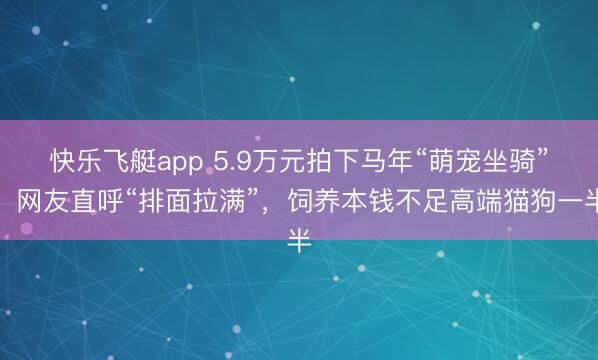 快乐飞艇app 5.9万元拍下马年“萌宠坐骑”！网友直呼“排面拉满”，饲养本钱不足高端猫狗一半