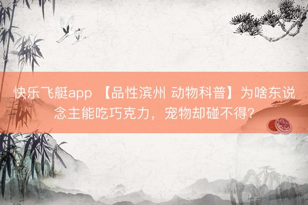 快乐飞艇app 【品性滨州 动物科普】为啥东说念主能吃巧克力,宠物却碰不得?