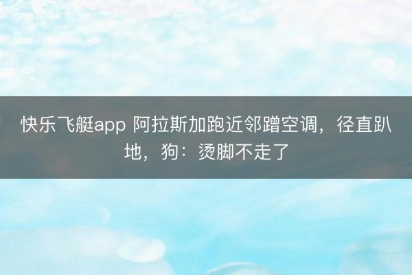 快乐飞艇app 阿拉斯加跑近邻蹭空调,径直趴地,狗:烫脚不走了
