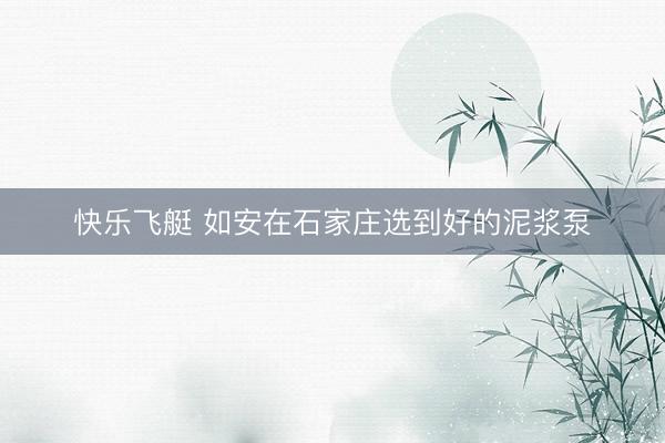快乐飞艇 如安在石家庄选到好的泥浆泵
